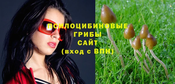 mdpv Беломорск