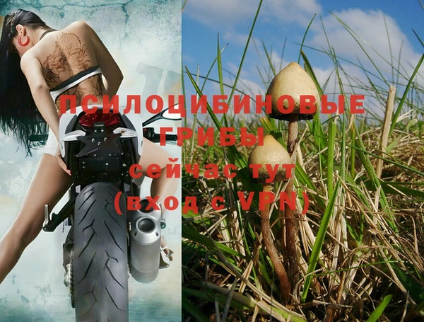 прущий лед Белоозёрский