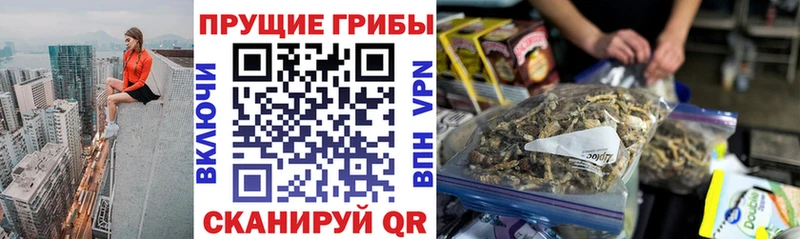Псилоцибиновые грибы Psilocybine cubensis  Верещагино 